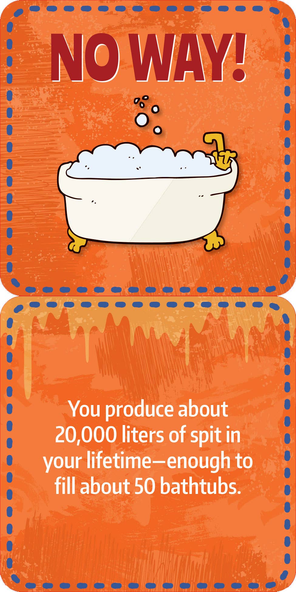 Gross Facts Lunch Box Notes for Kids! - Ethan and Emily